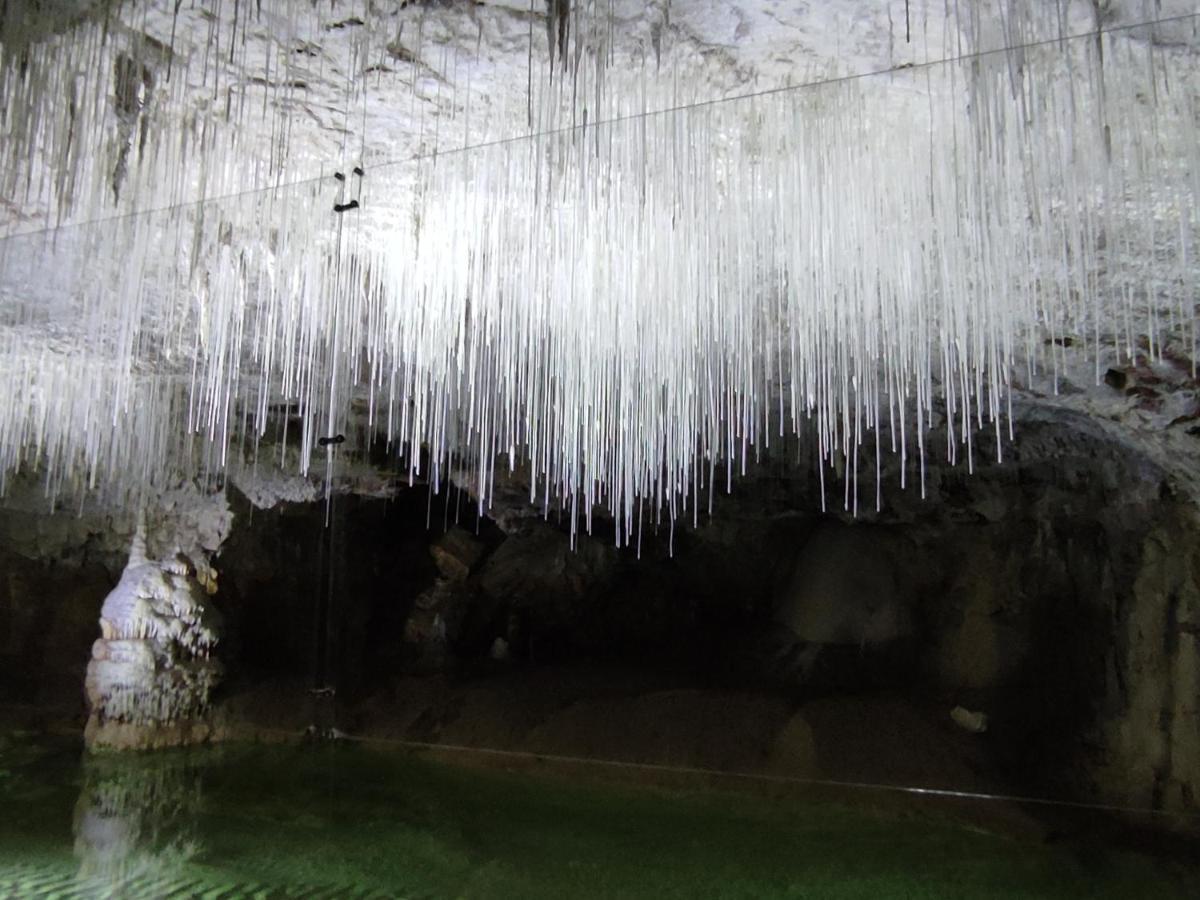 Chambre Genissieux, Vue Sur Vercors Eksteriør billede